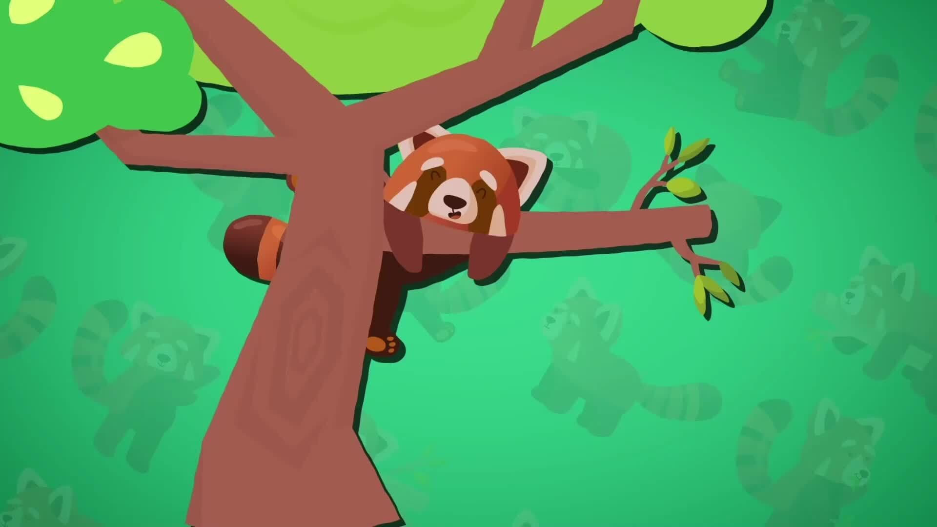 I WONDER - What Is A Red Panda?