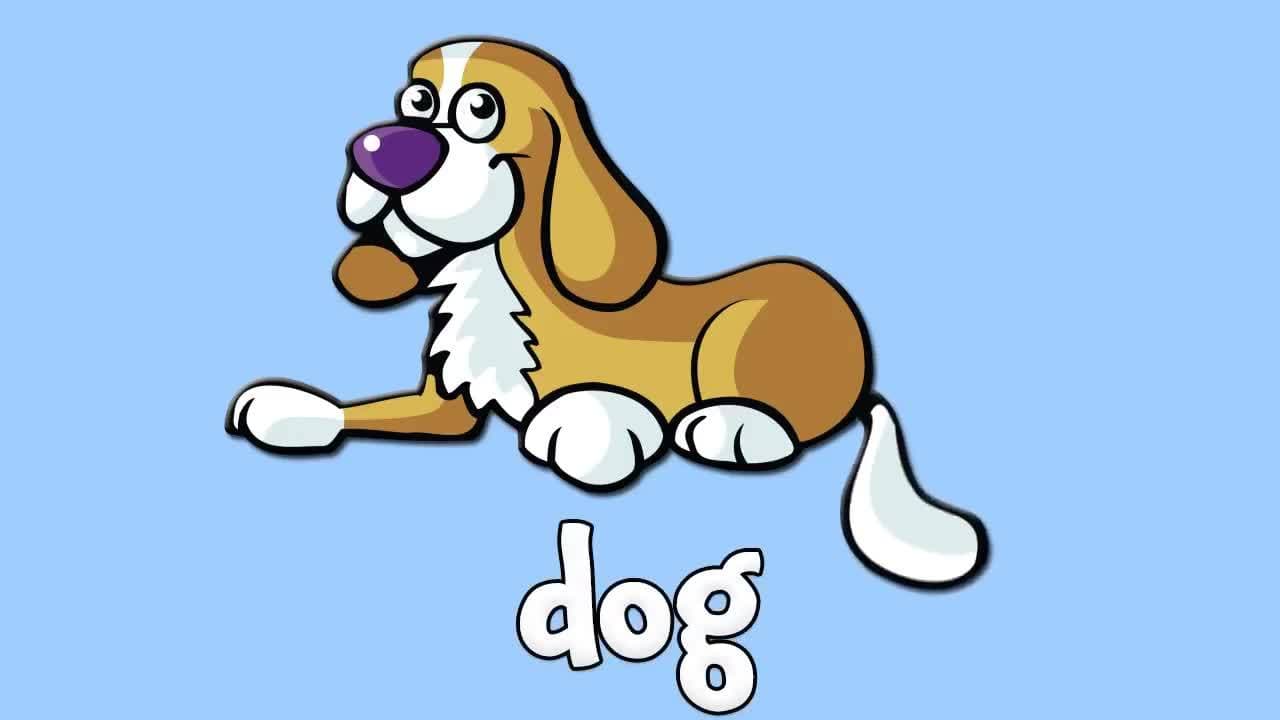 Farm Animals for Children!