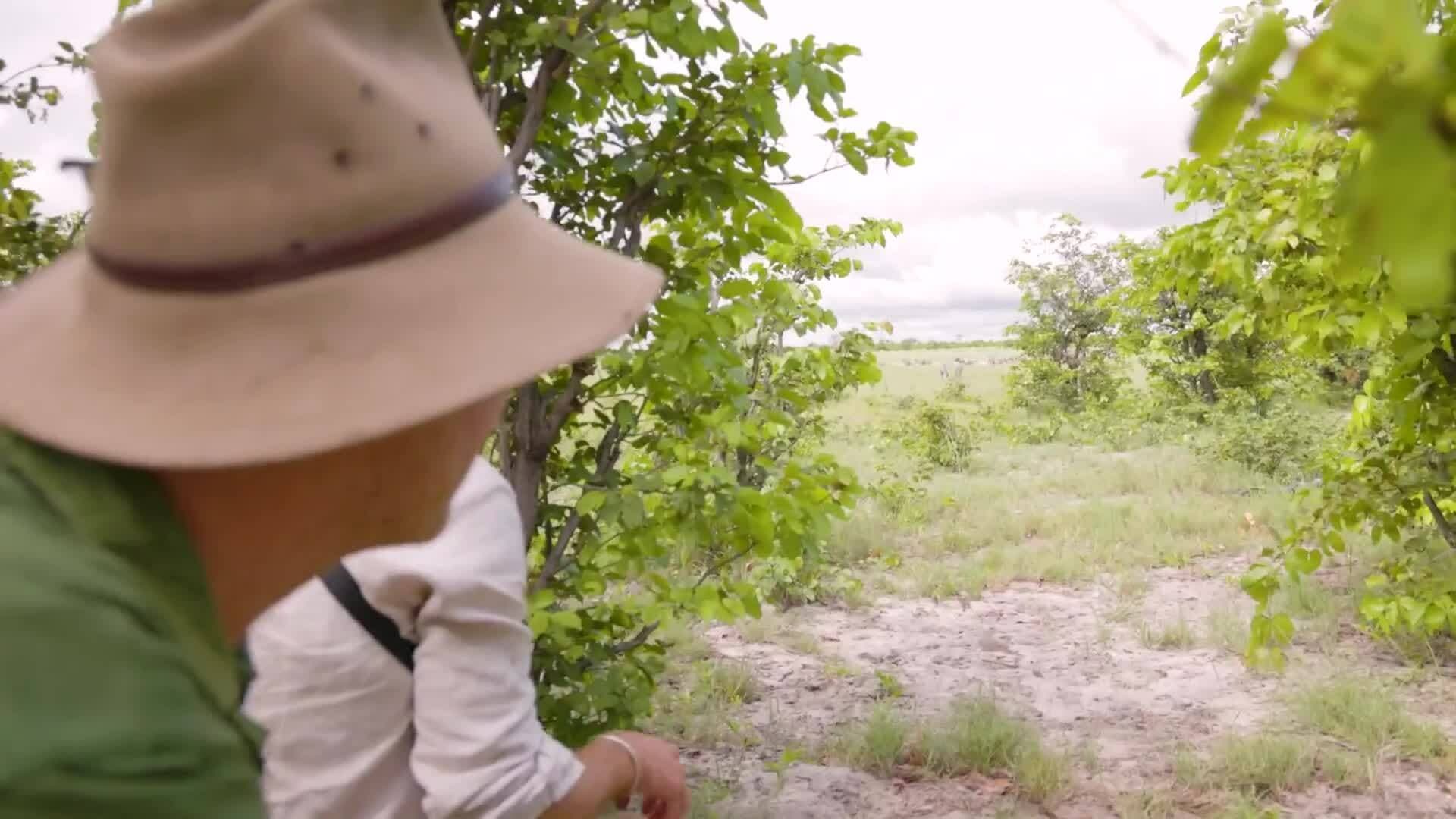 Going Wild - Mobile Safari & Wild Elephants