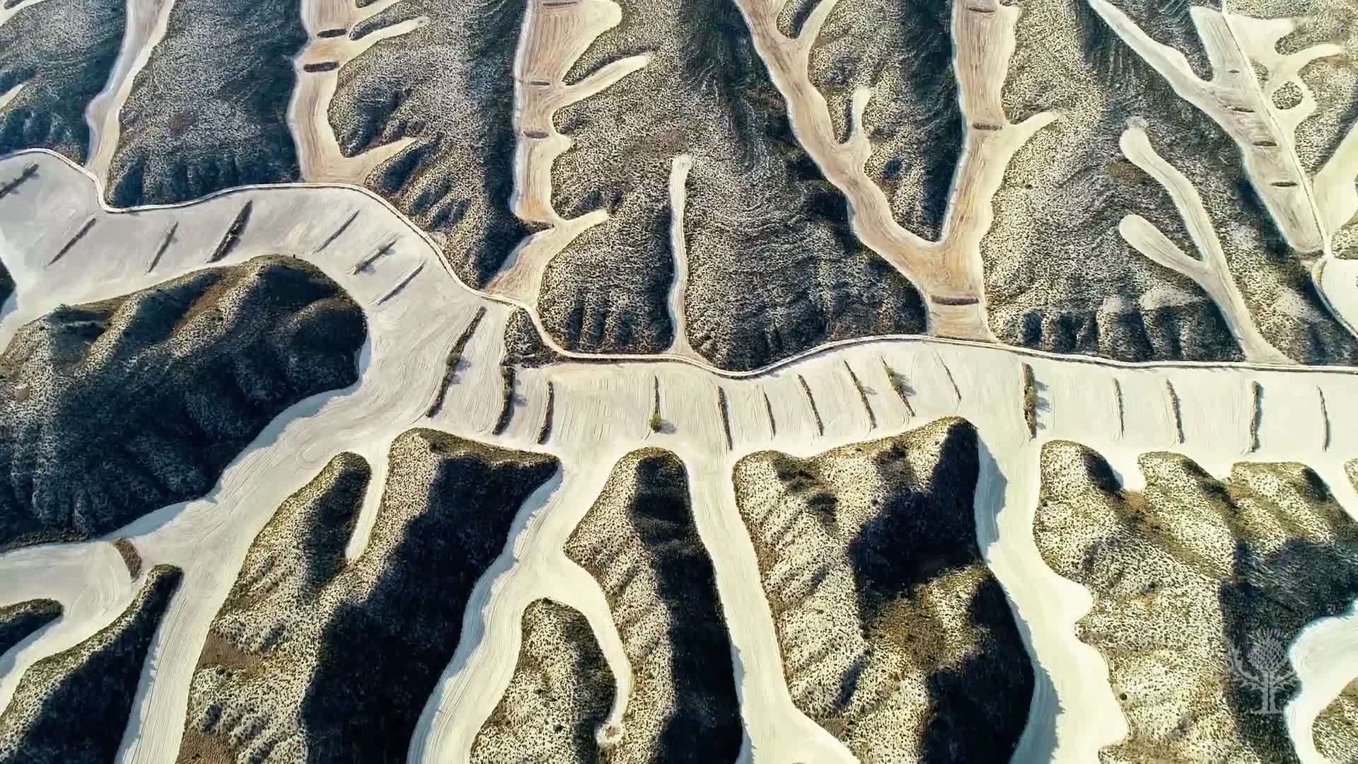 Britannica Insights: The Threat of Biodiversity Loss