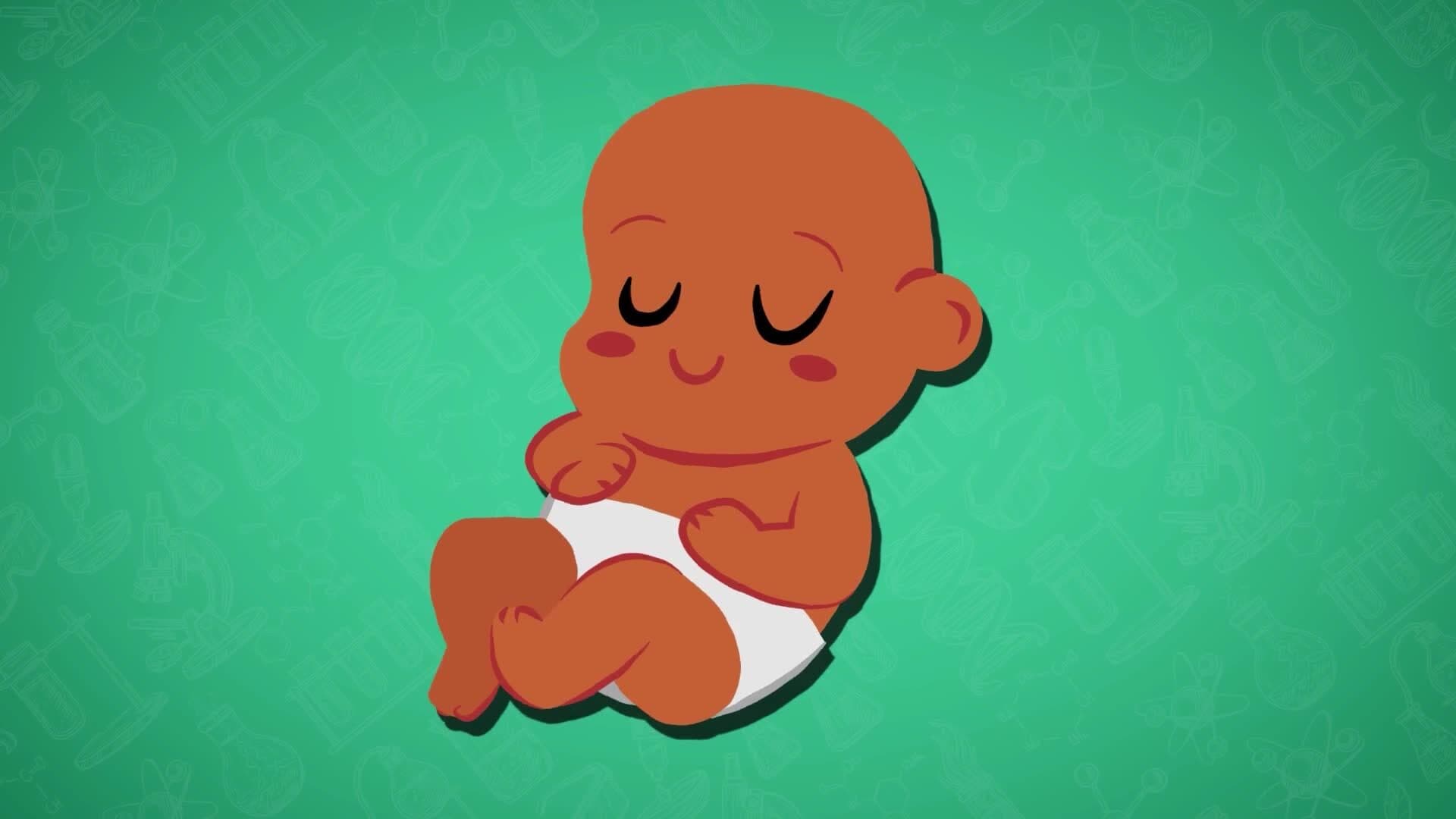 High Five Facts - Genetics