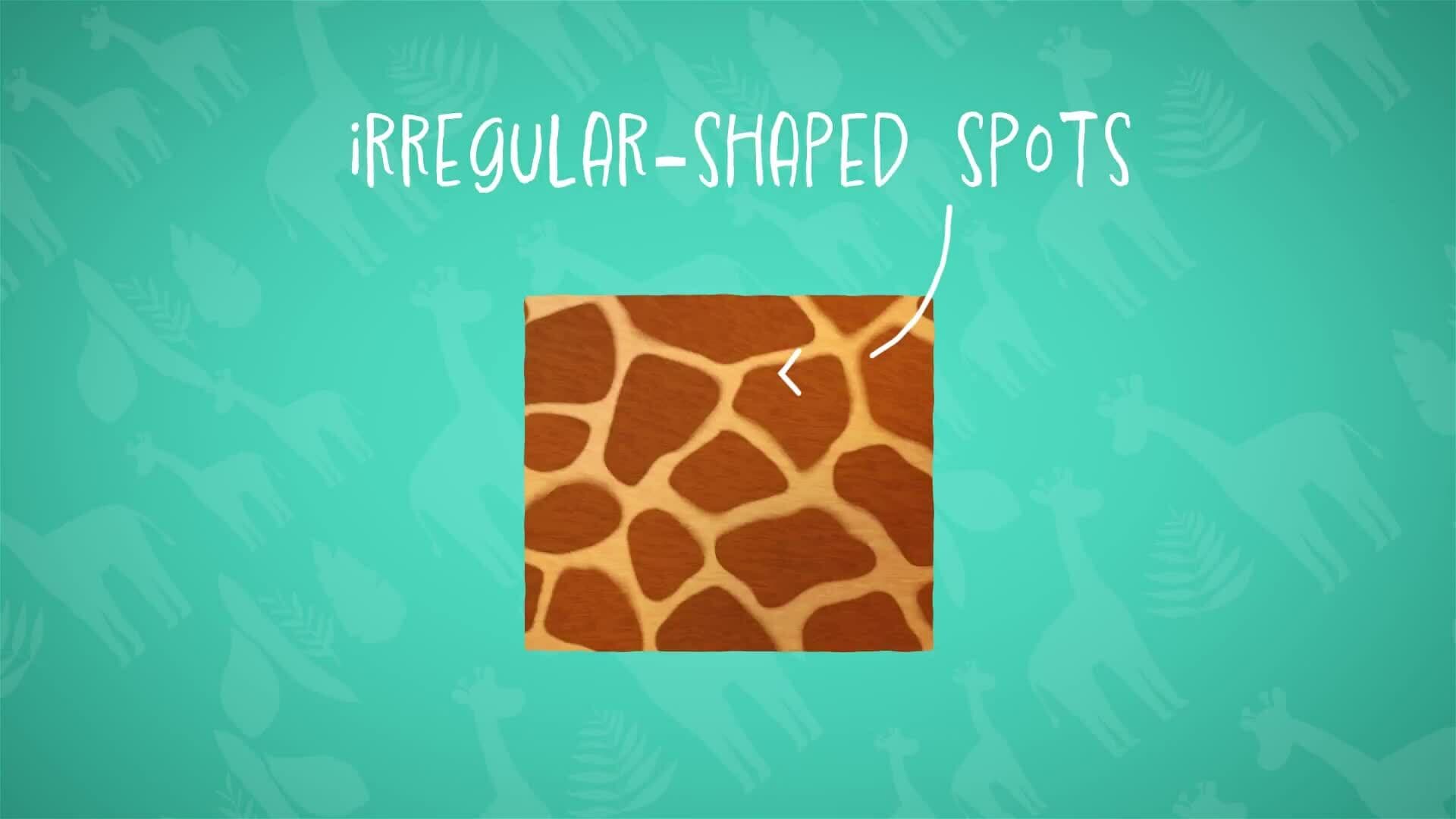 I WONDER - Why Do Giraffes Have Patterns?