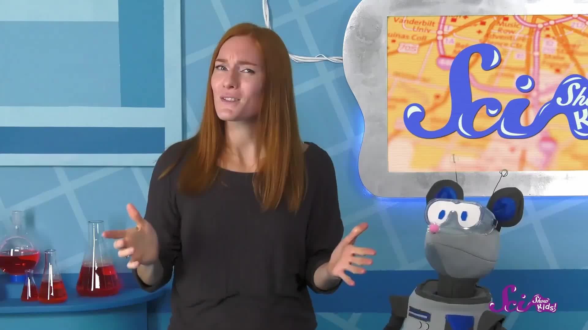 How Animals Find Their Way Home!