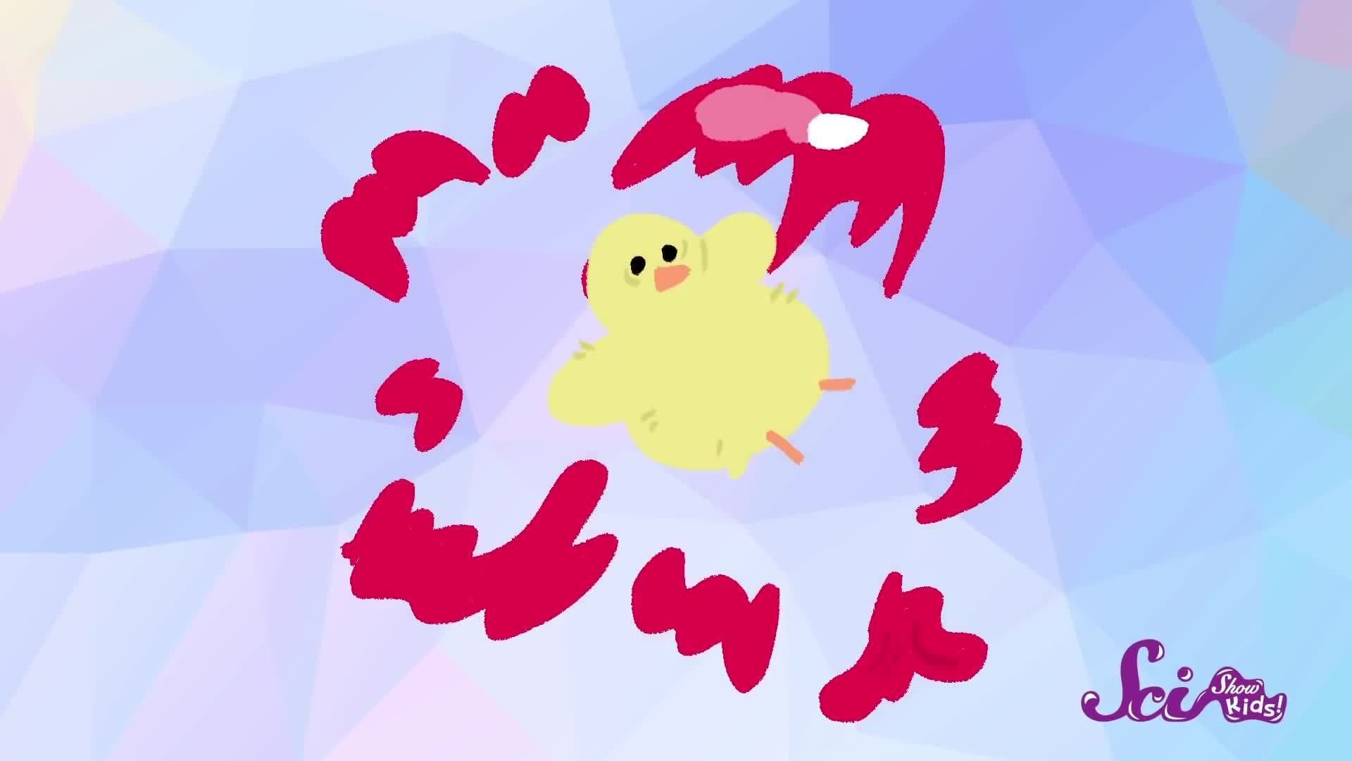 Make a Balloon Rocket