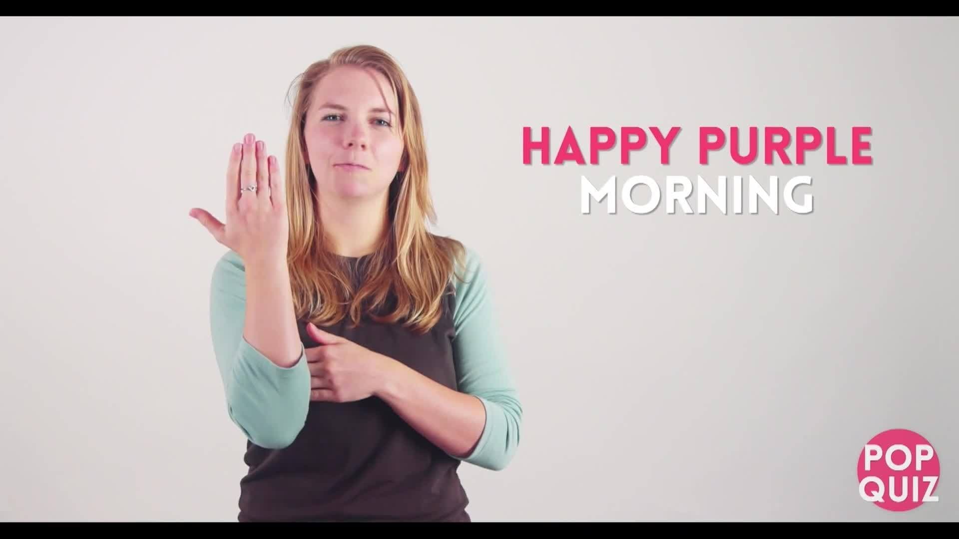 ASL - Travel and opinion pop quiz