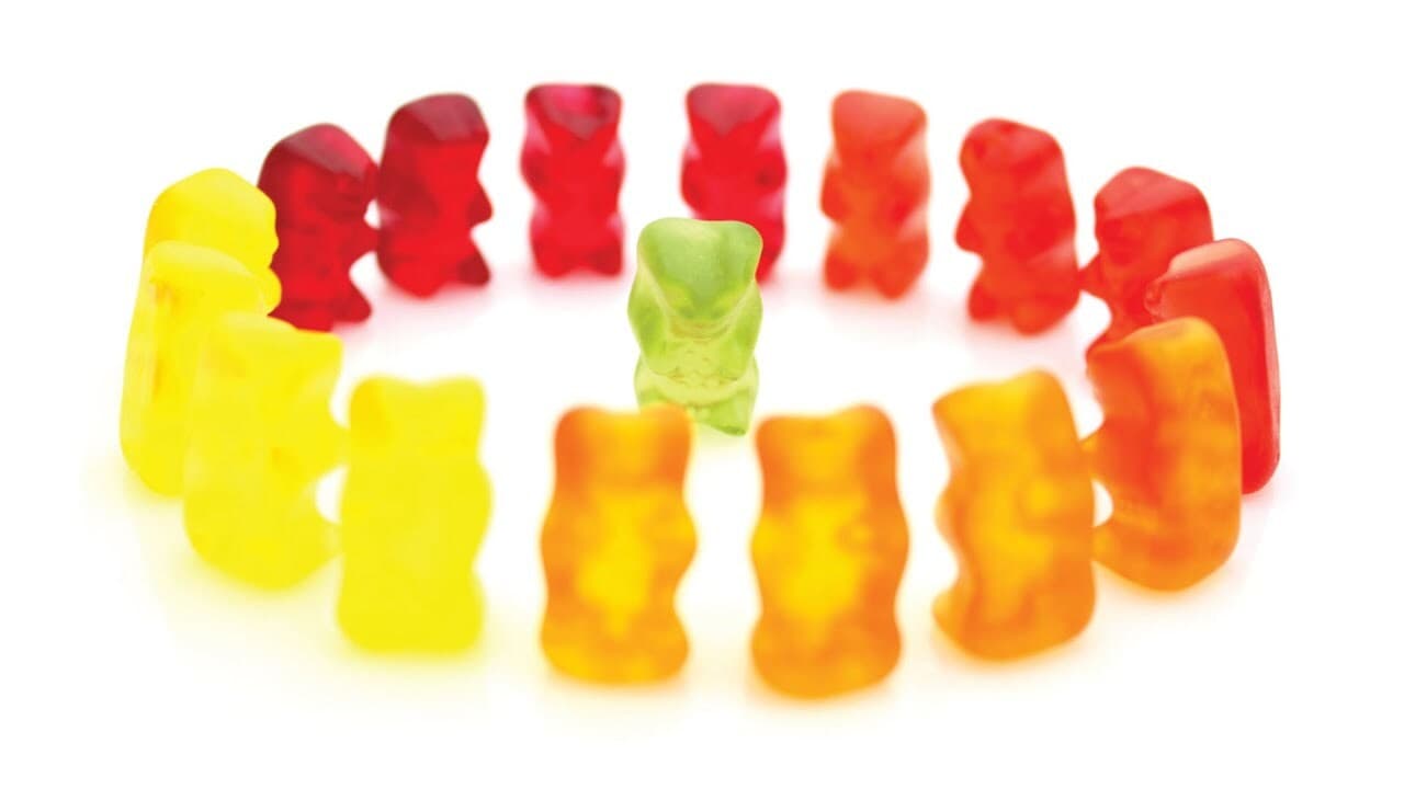 Science Experiment with Gummy Bears