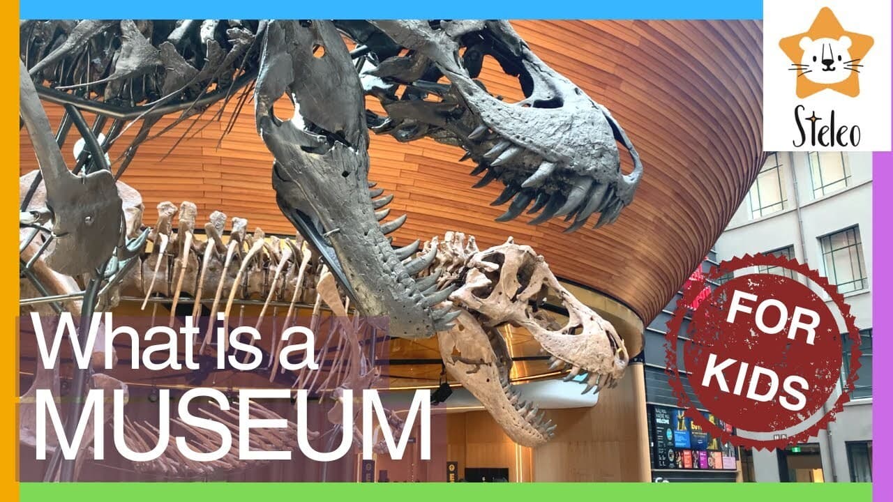What is a Museum?