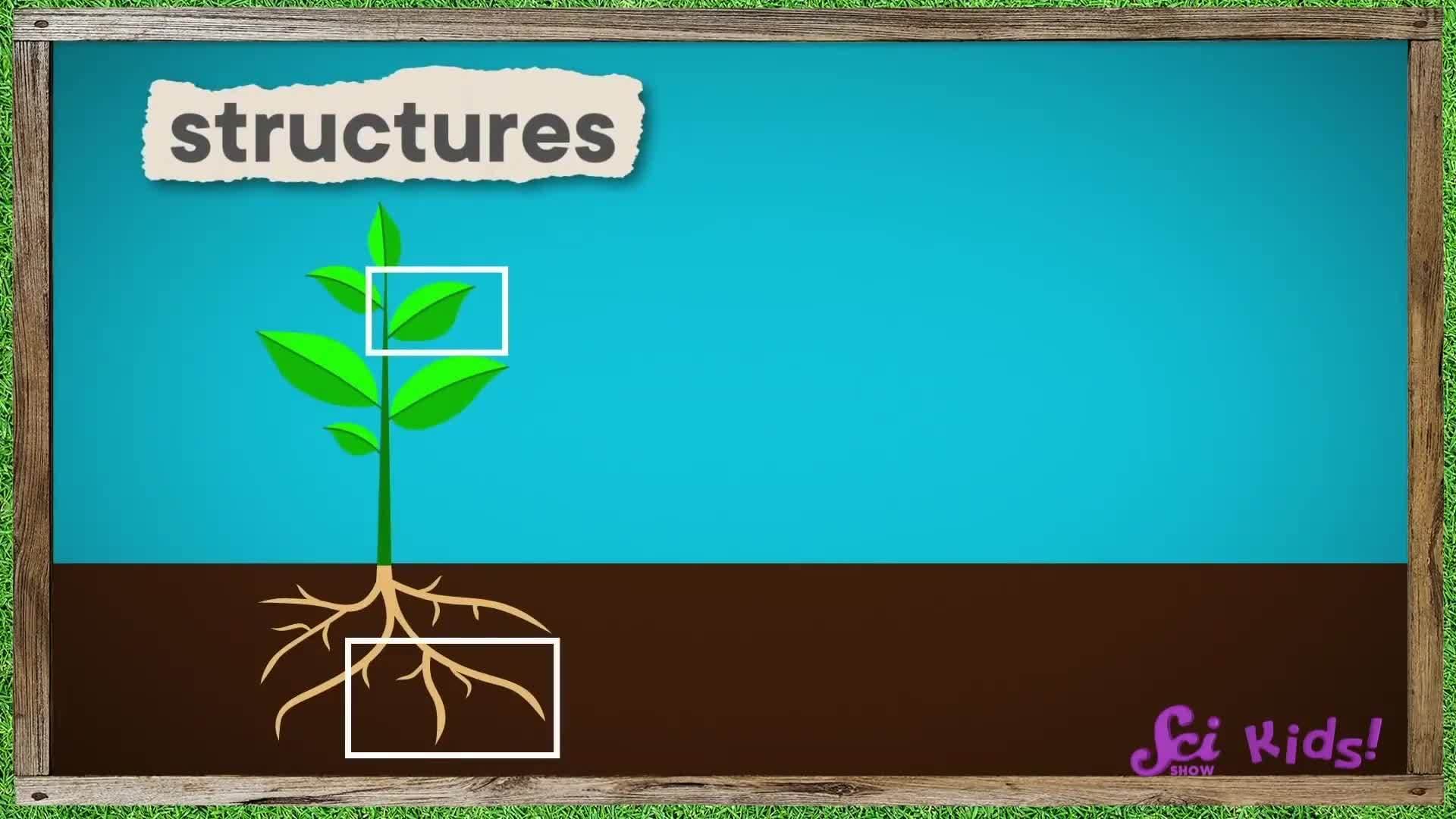 Why Are Foods Many Colors? | The Science of Colors! | SciShow Kids