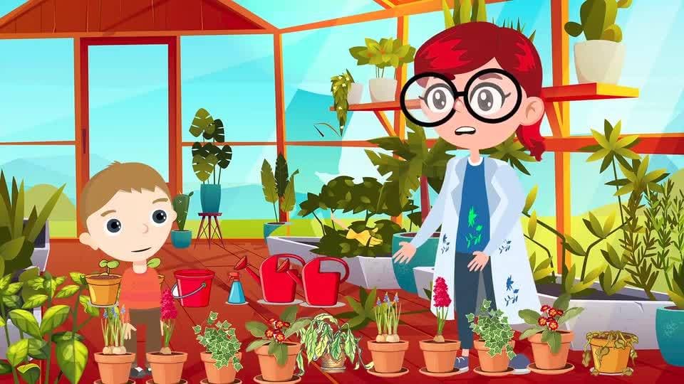 How do Plants Grow?
