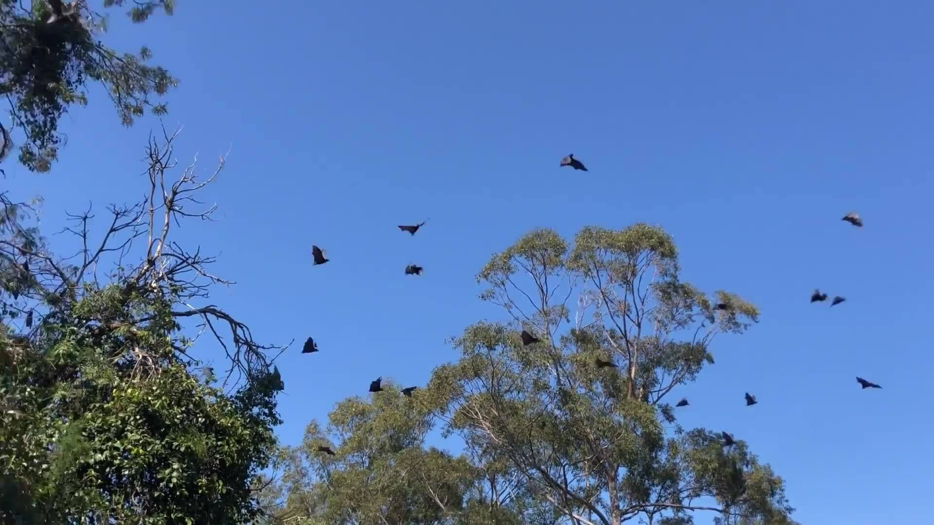 Eco TrailBlazer - Emily Stanford