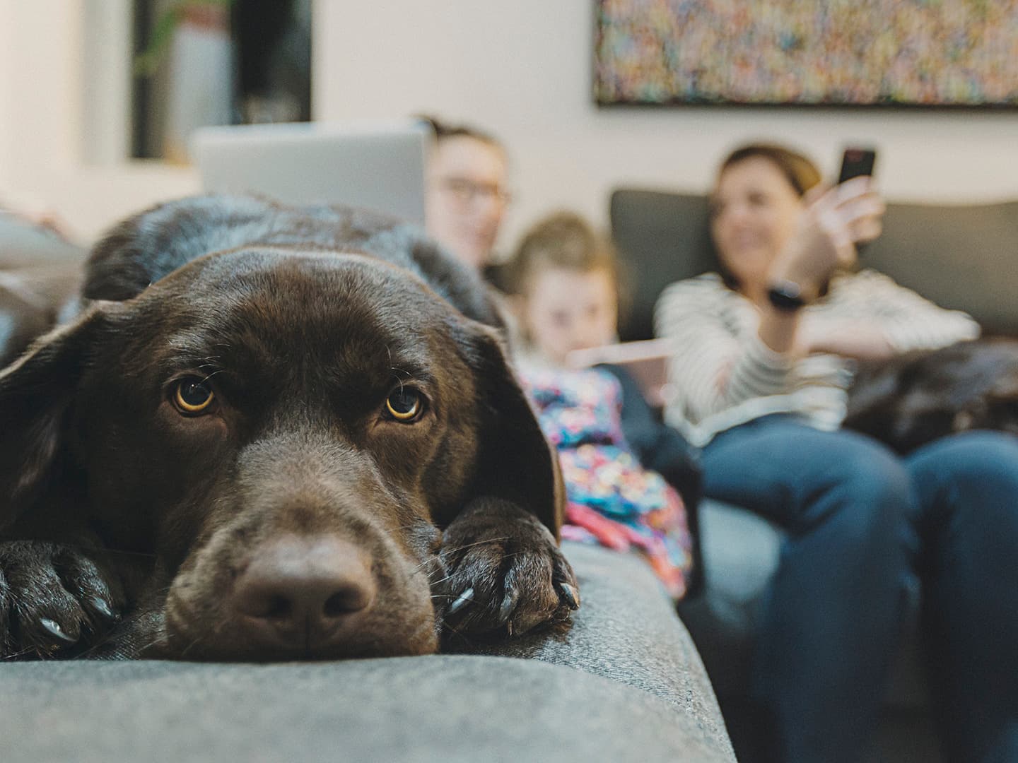 The Importance of Calmness