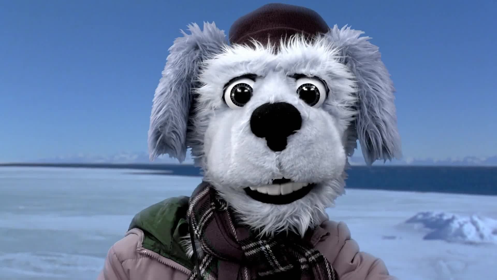 Animal Alphabet: E is for Emperor Penguin