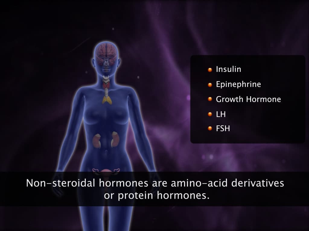 Mechanism of Hormone Action