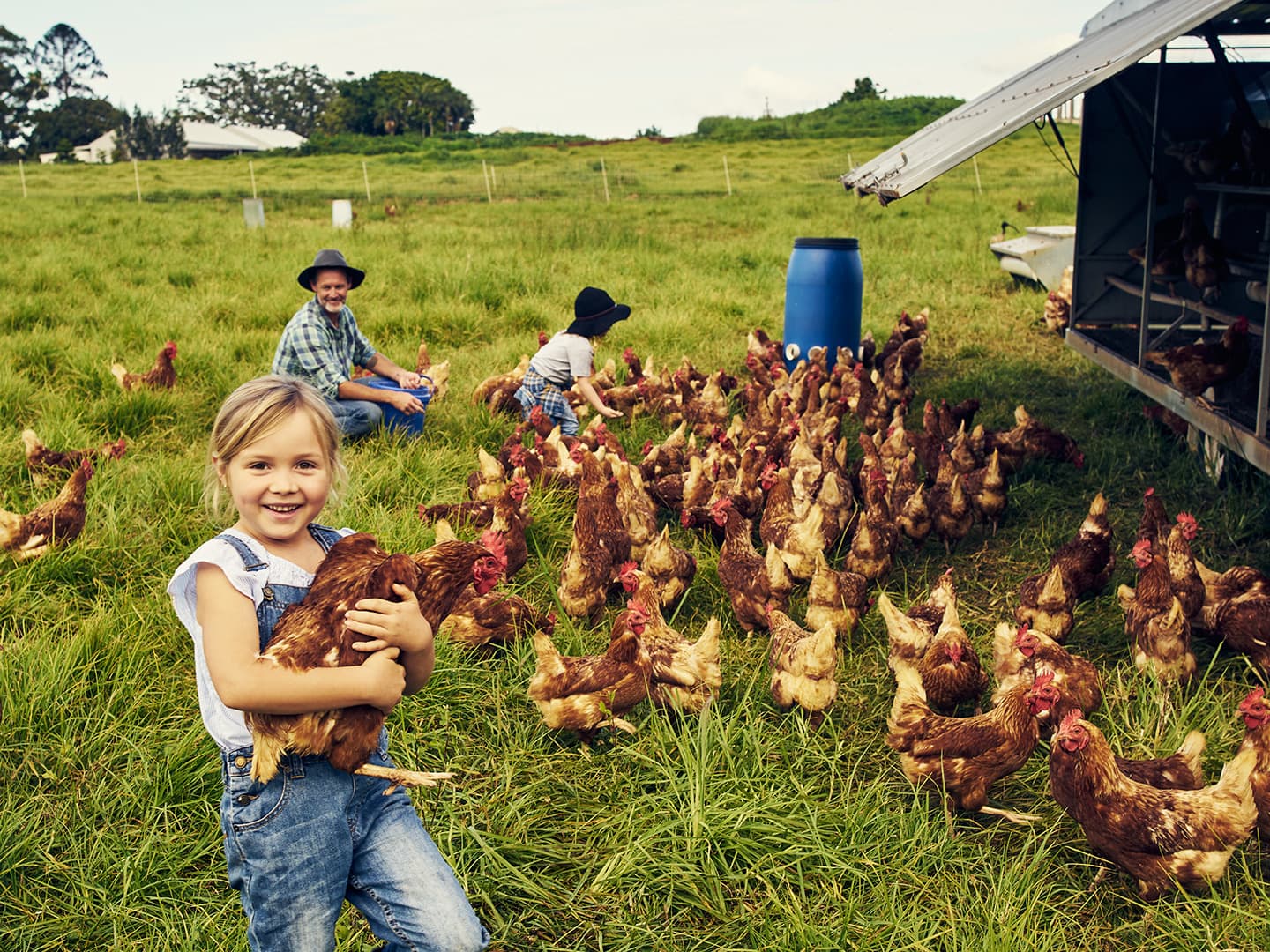 Learning Ethics  A Valuable Lesson in Respecting Nature