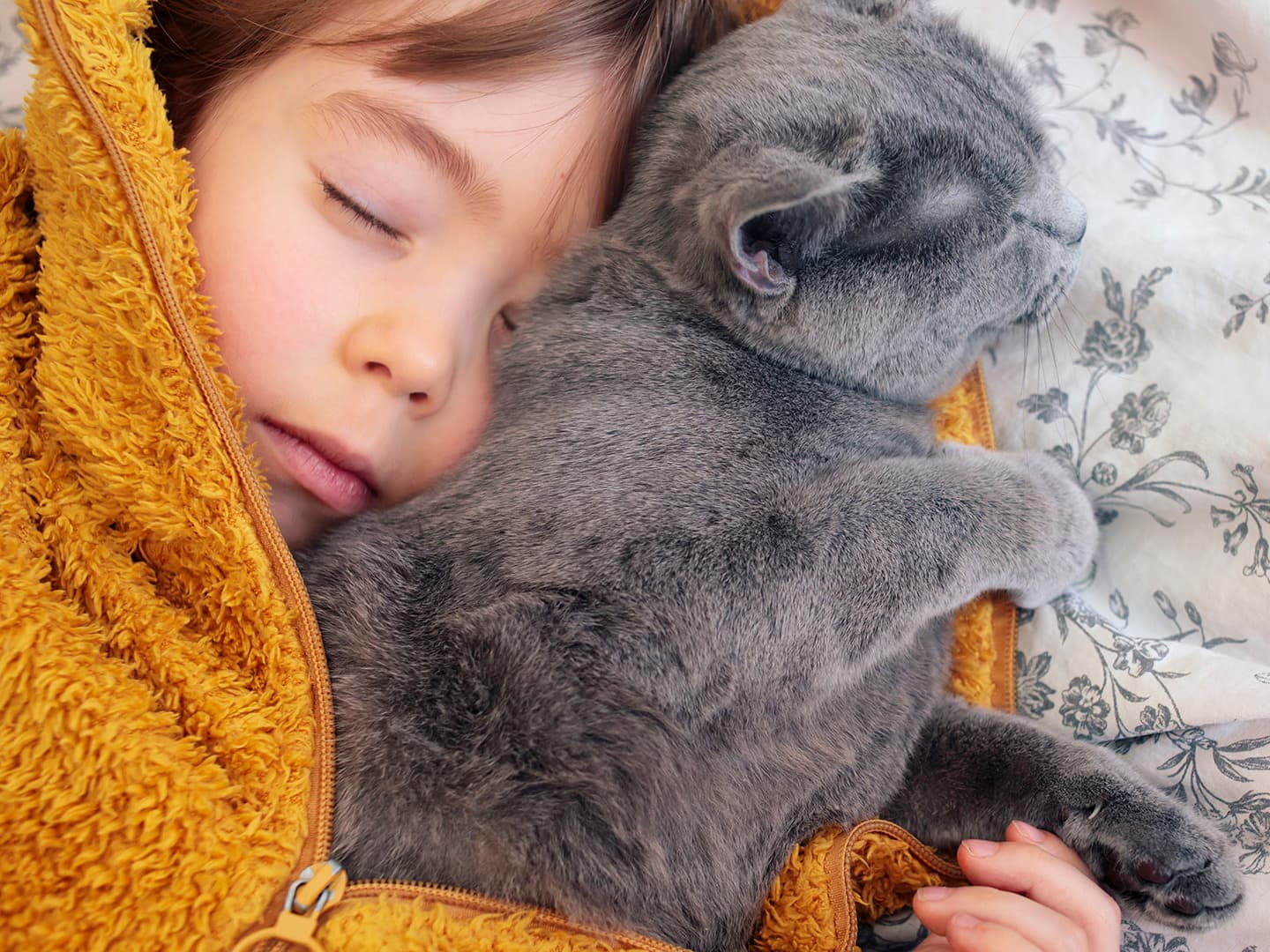 Justice and Fairness