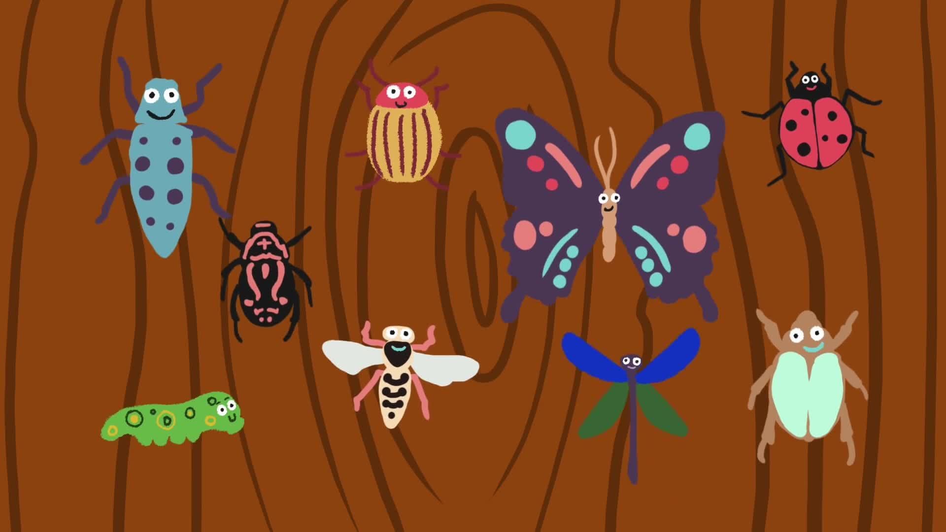 UN Global Goal 15: Life on Land (Ages 5 - 11)