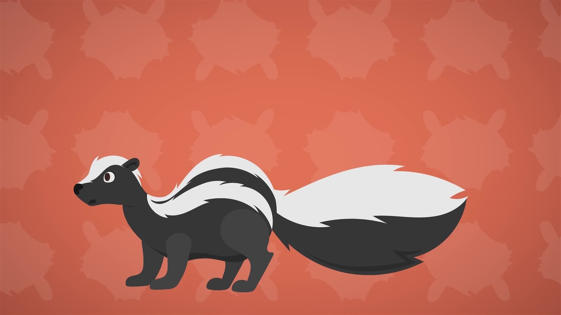 I WONDER - How Does A Skunk Protect Itself?
