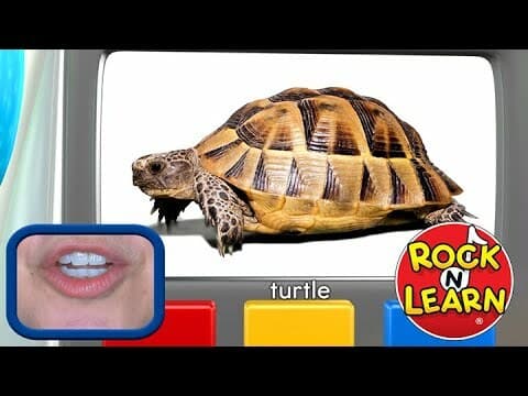 Learn English: Fun Words and Phrases for Outdoors