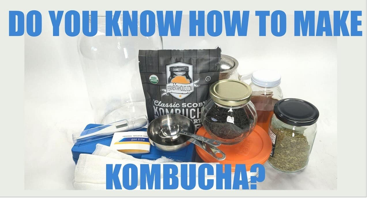 What Sugar And Tea Does a Kombucha Biofilm Prefer?