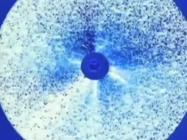 The Powerhouse Sun: Learn how the sun lives and will die