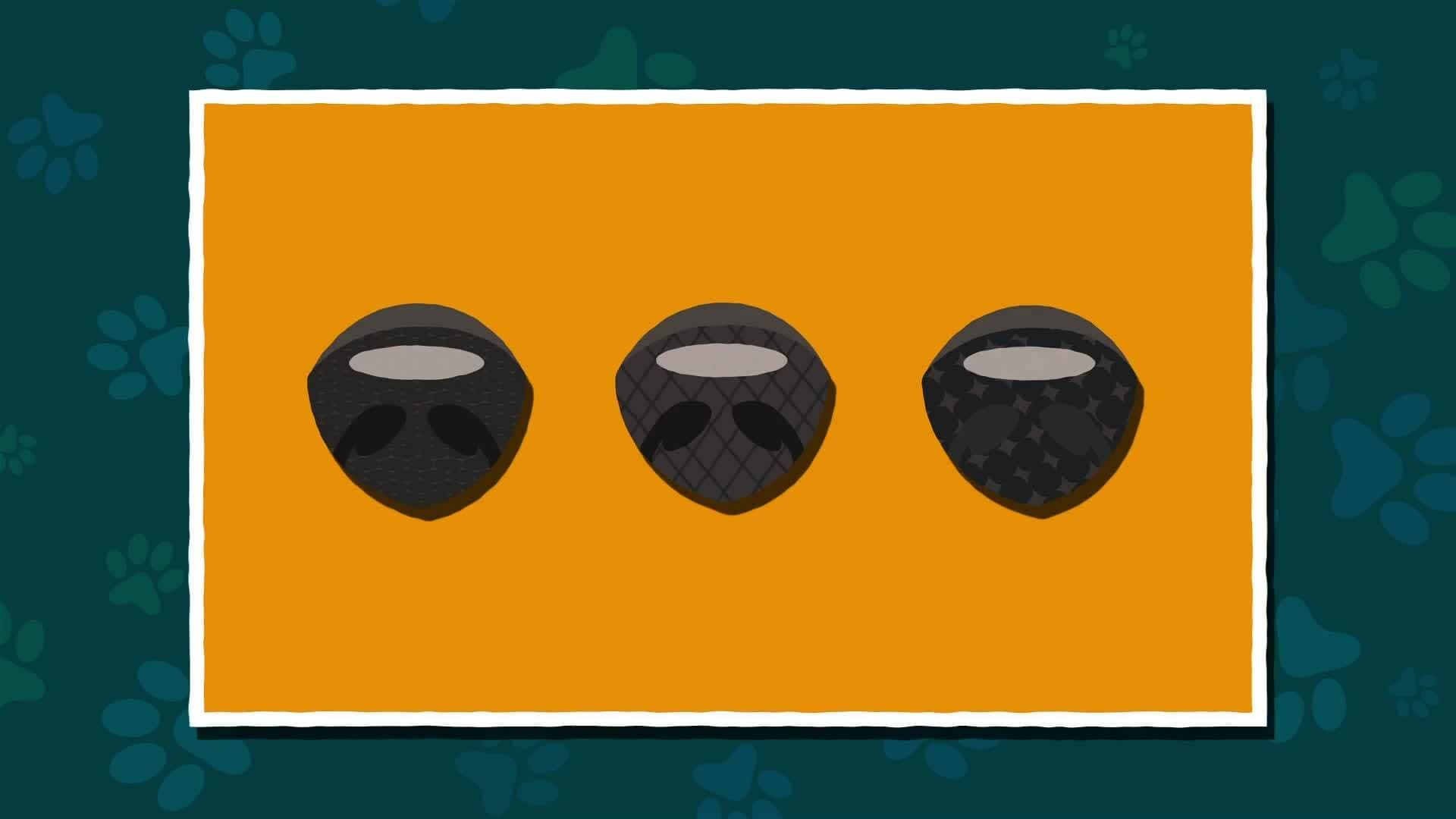 I WONDER - What Is Special About A Dogs Nose?