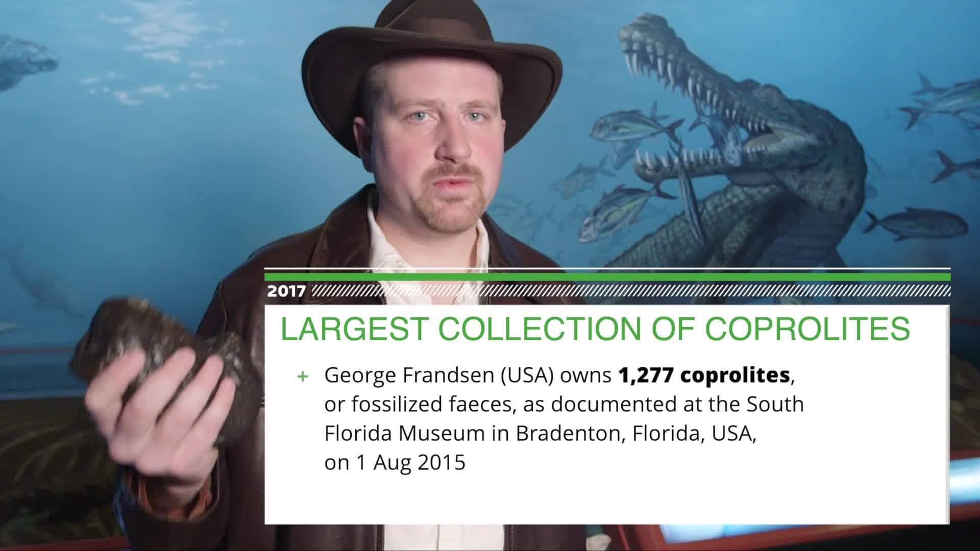 The World's Largest Collection of Copper Lights: Exploring the Fascinating World of Fossilized Poop