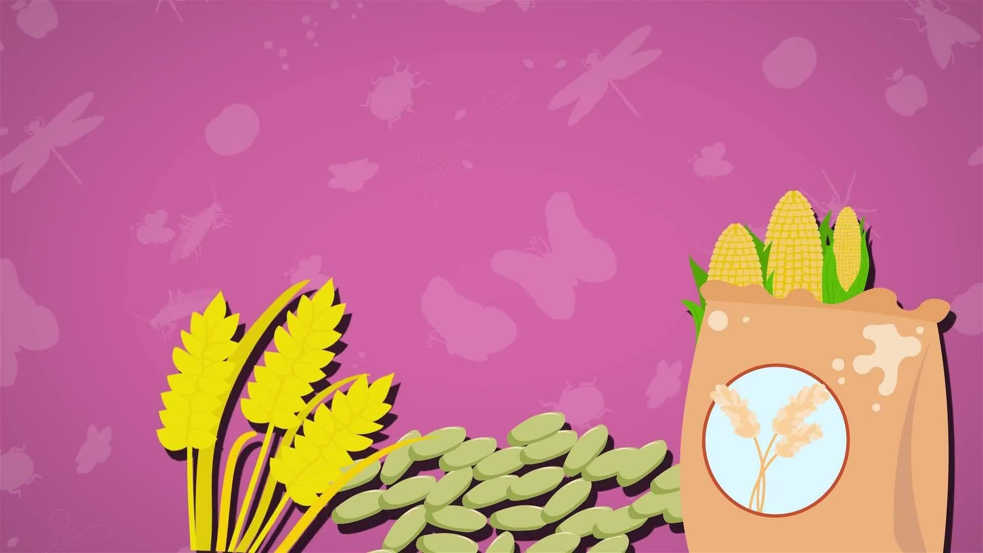 I WONDER - Why Is Pollination Important?