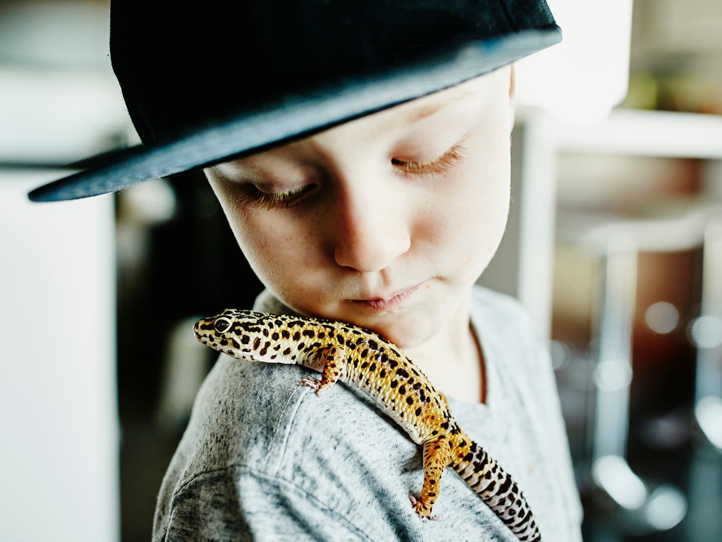 Adaptability: Embracing Change and Finding Happiness