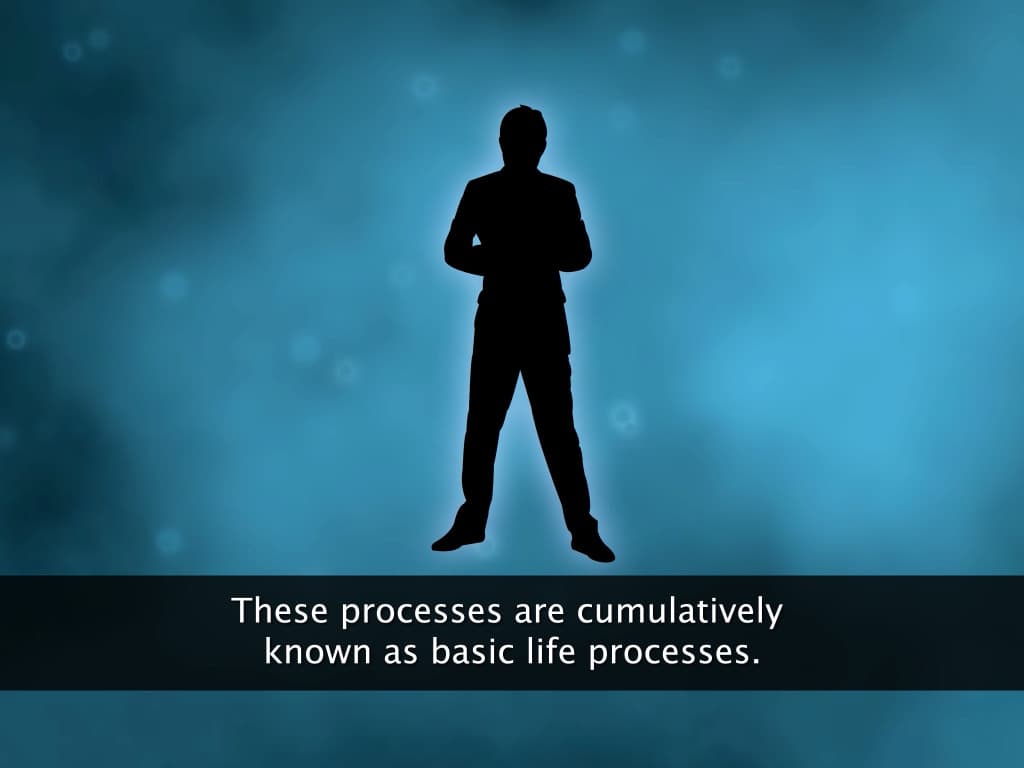 Introduction to Life Process