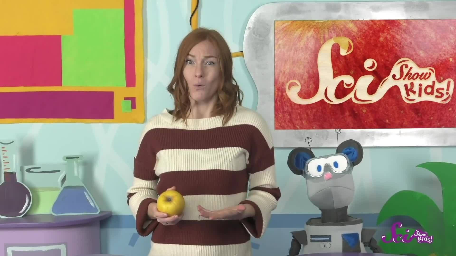 Happy Birthday, Sir Isaac Newton!