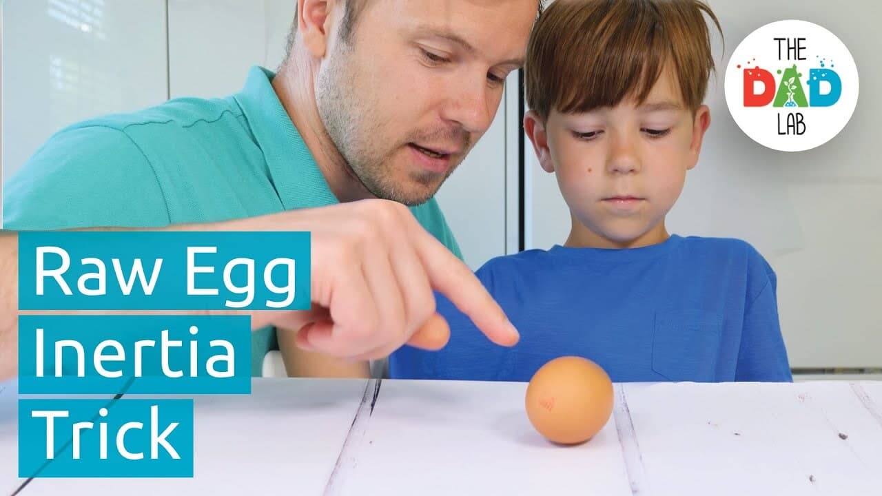 Understanding Inertia Using Eggs