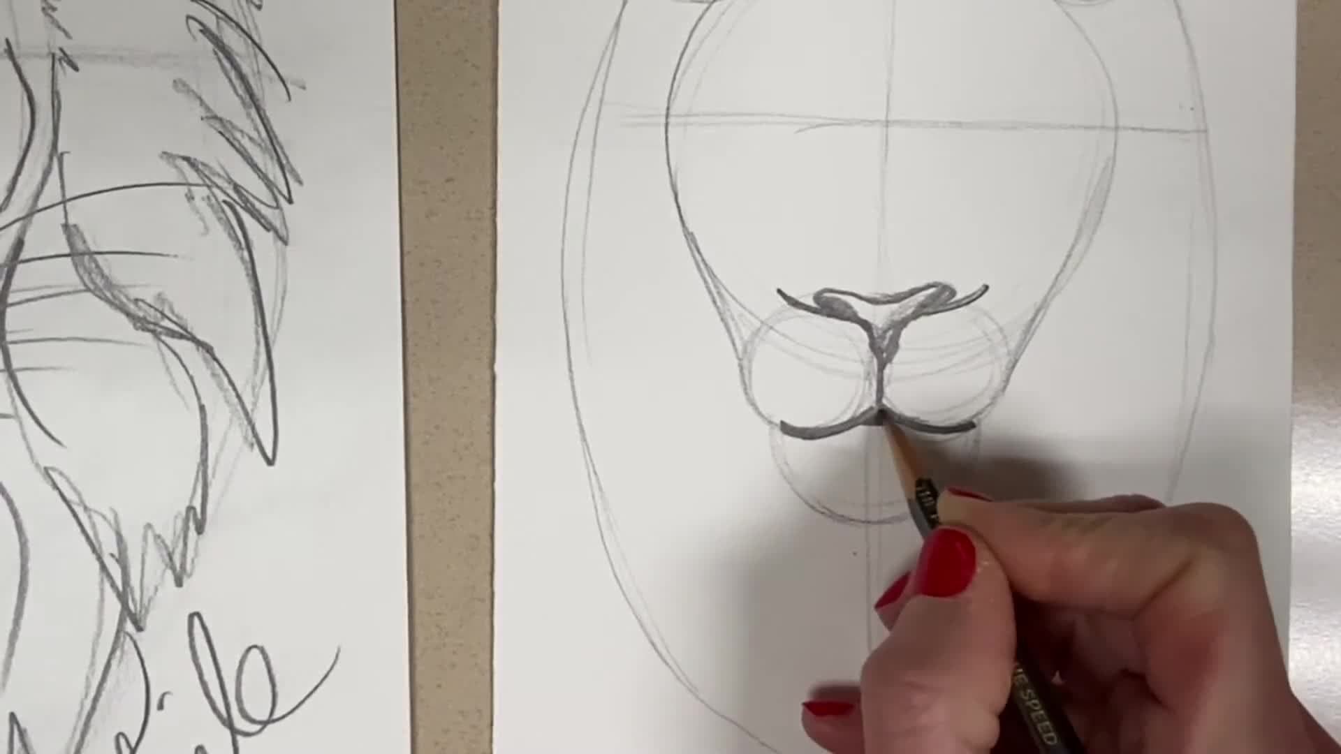 Lion Head Drawing  Quick Live Demo