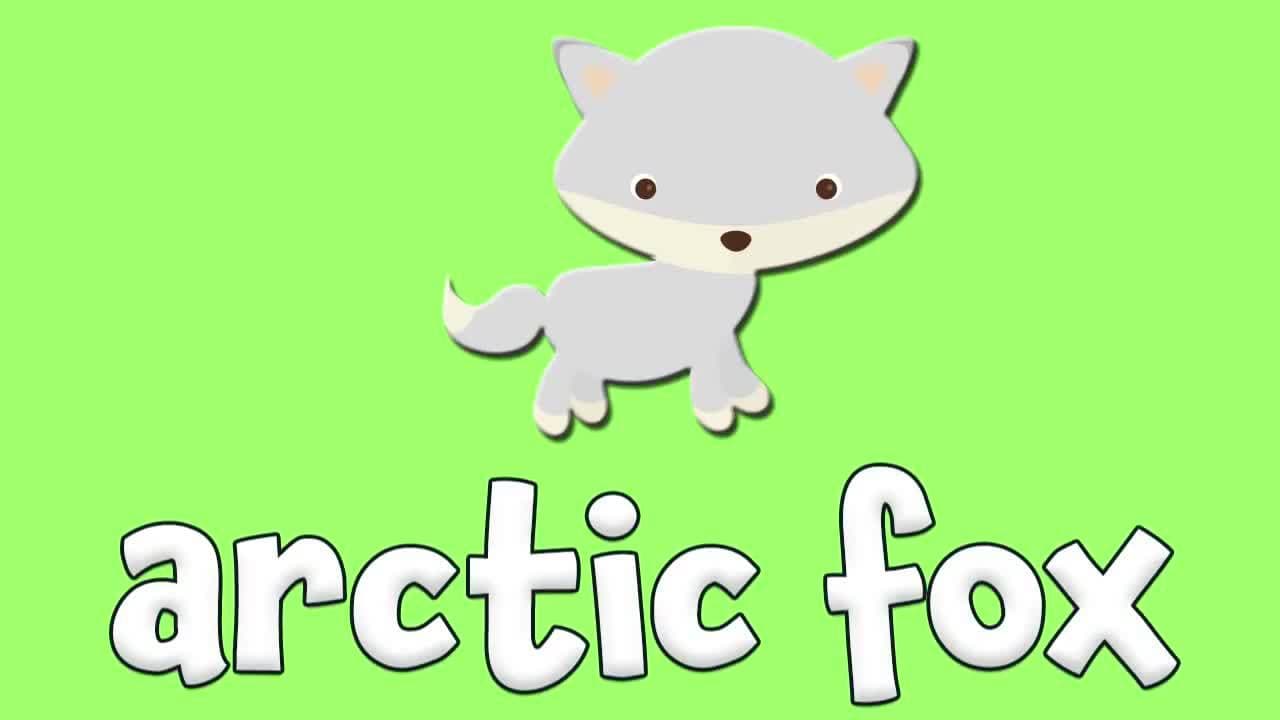 Winter Animals!  Learn about animals for Kids