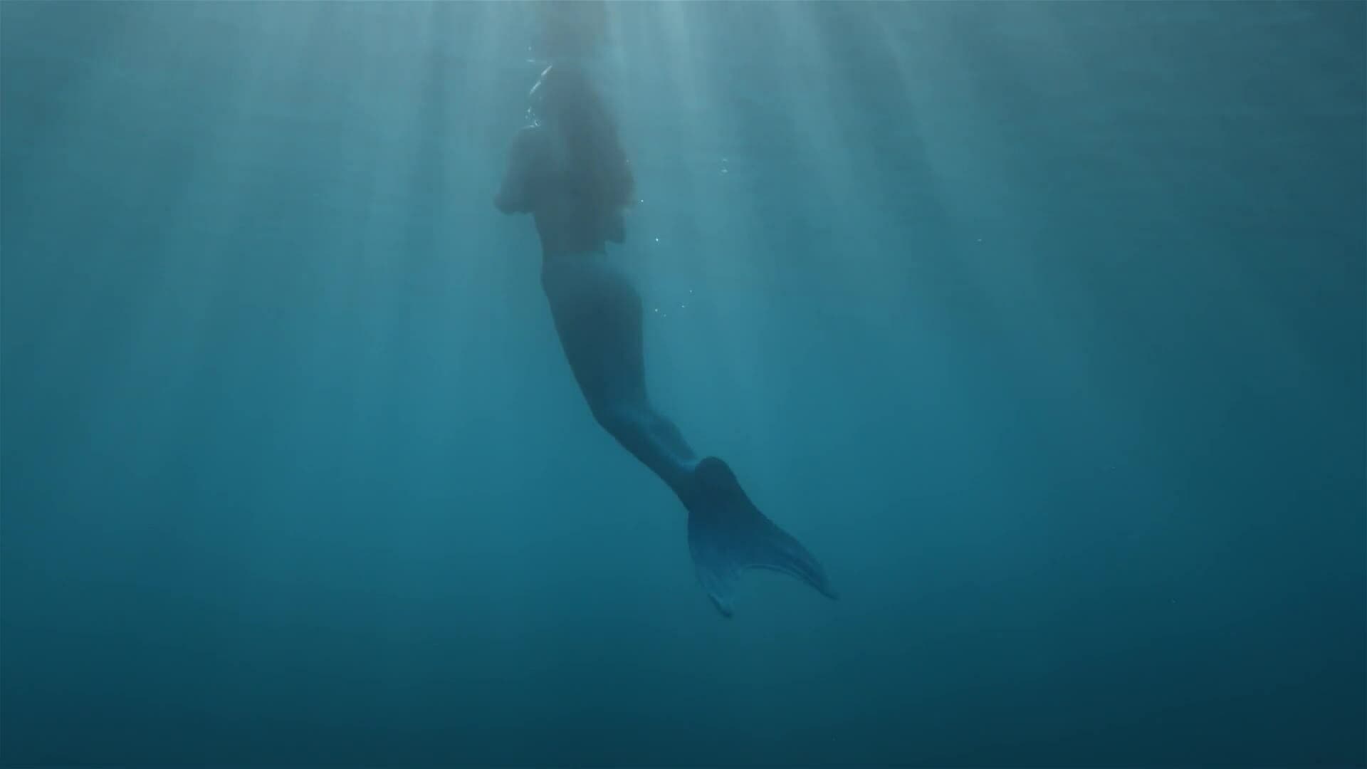 I WONDER - What Is A Mermaid?