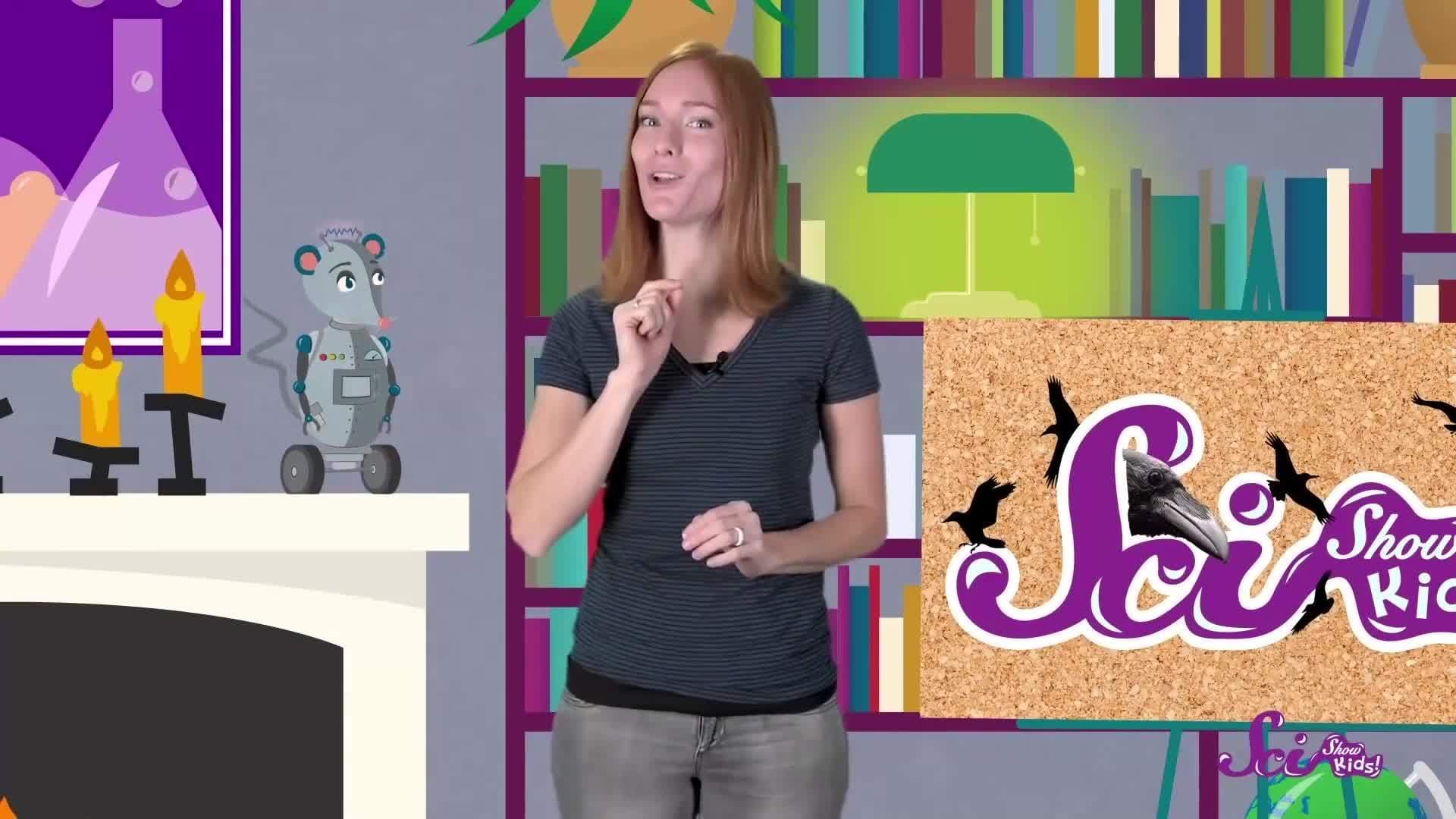 Ravens Are Super Smart! Animal Science for Kids