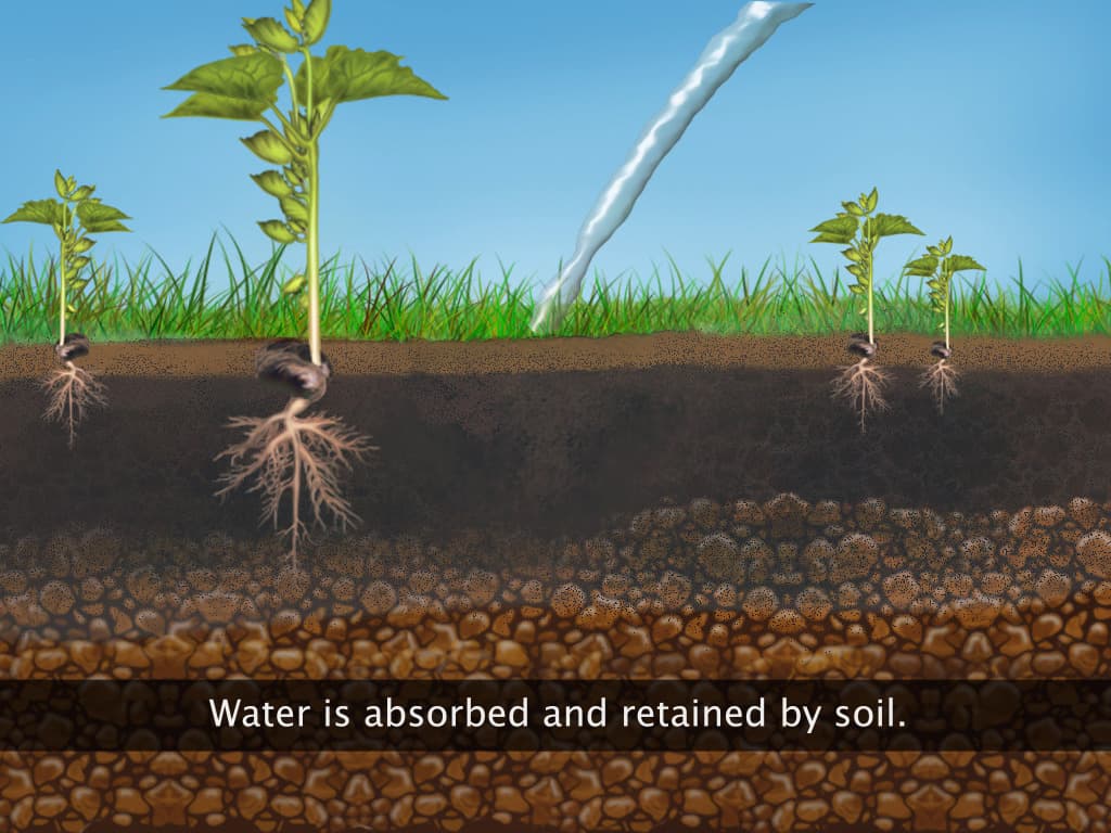 Water in Soil