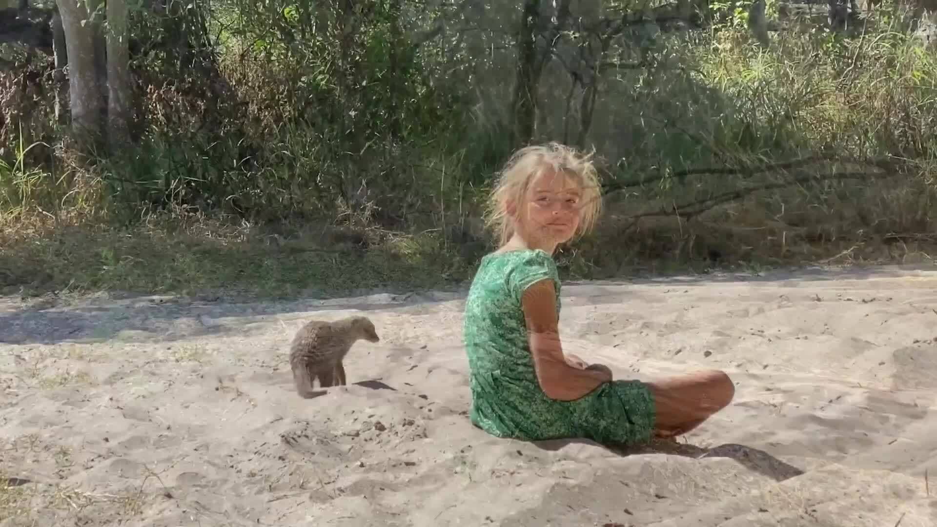 On Safari with Nala - Banded Mongoose