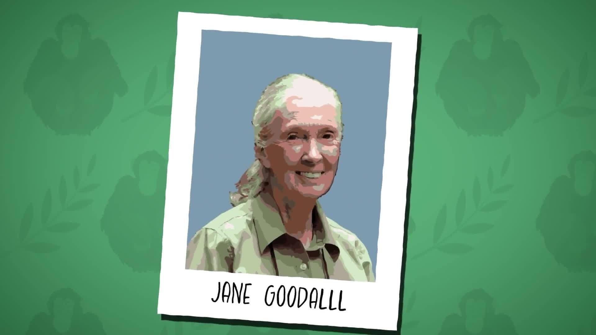 I WONDER - Who Is Jane Goodall?