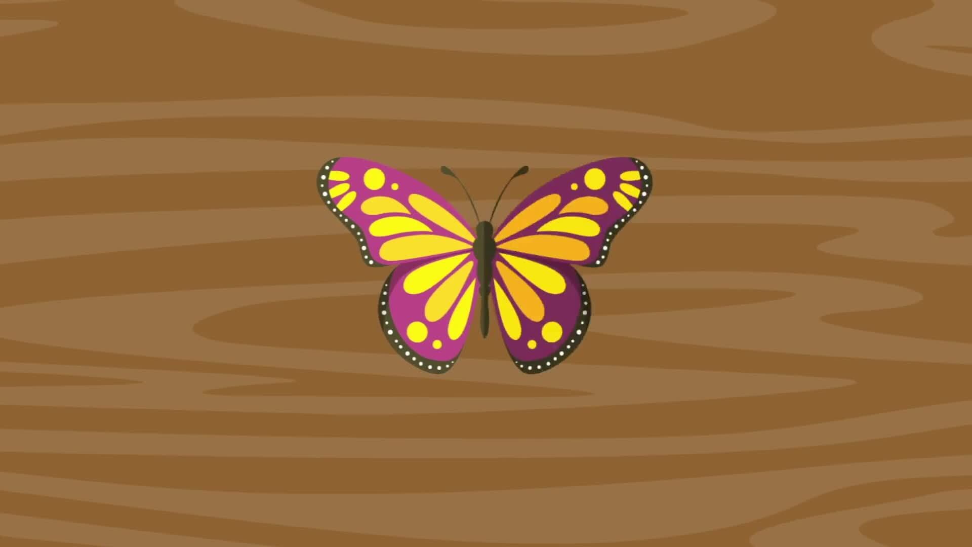 Symmetry : Making Cards