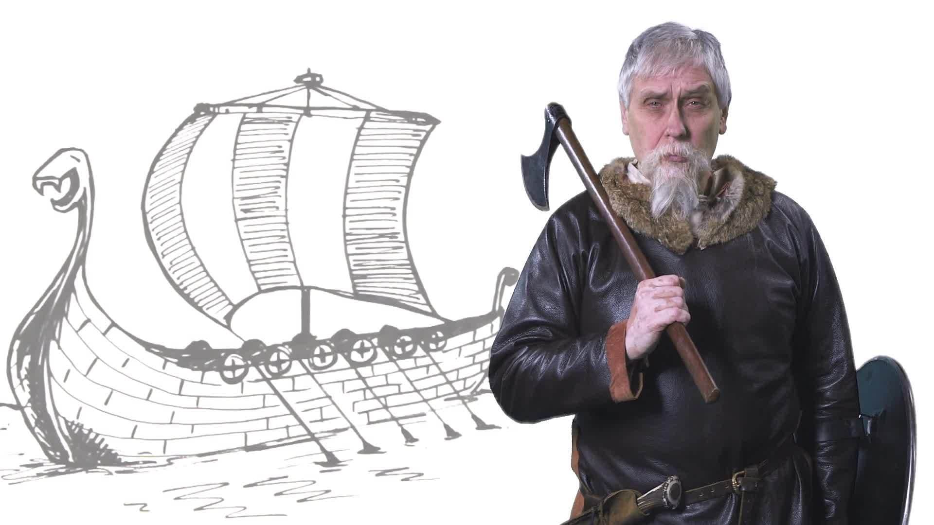 Why did the Vikings raid?