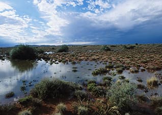 Great flood of the Kalahari
