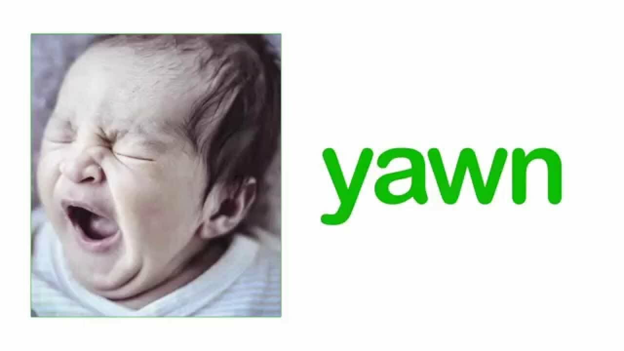 Journey of Human Growth and Movement