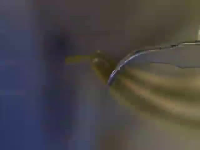 Discovery with the ALMA Telescope: The front end and back end of the ALMA telescope