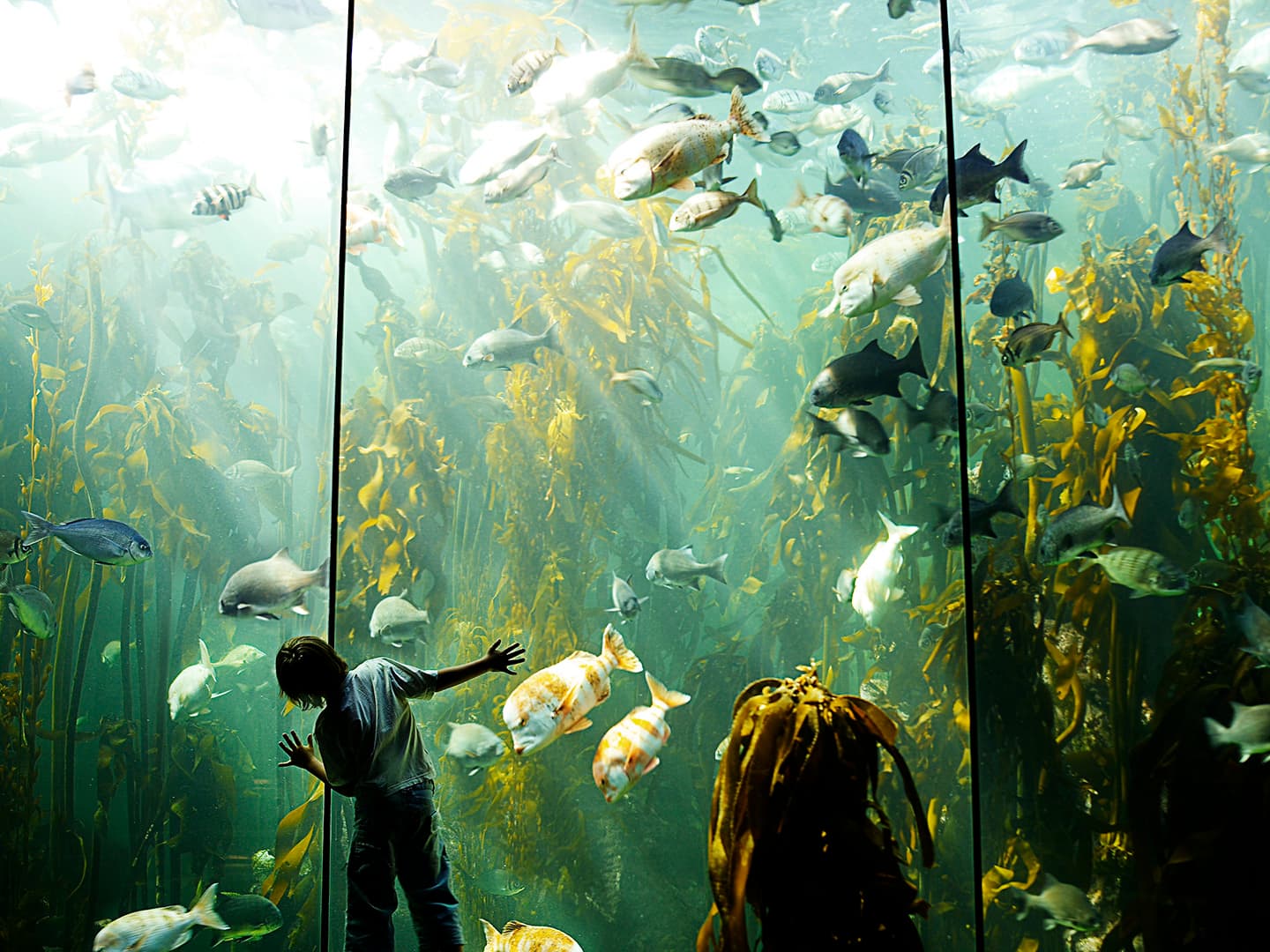 The Importance of Gratitude