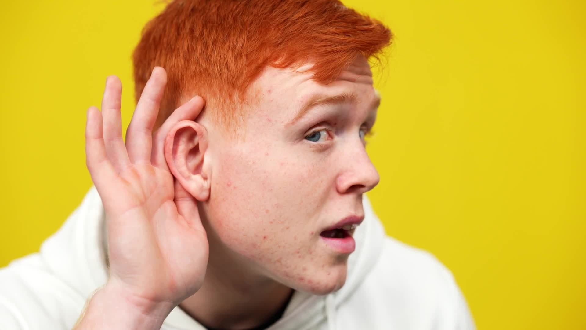 Science Kids:  Sharks