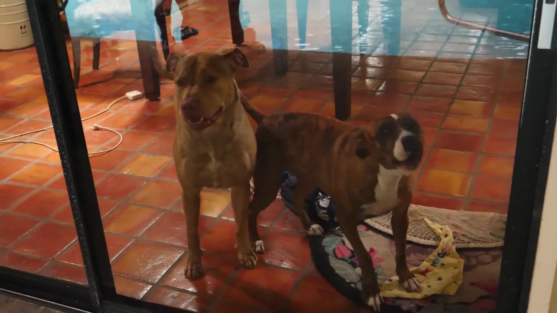 Impossible Water Fountain - DIY