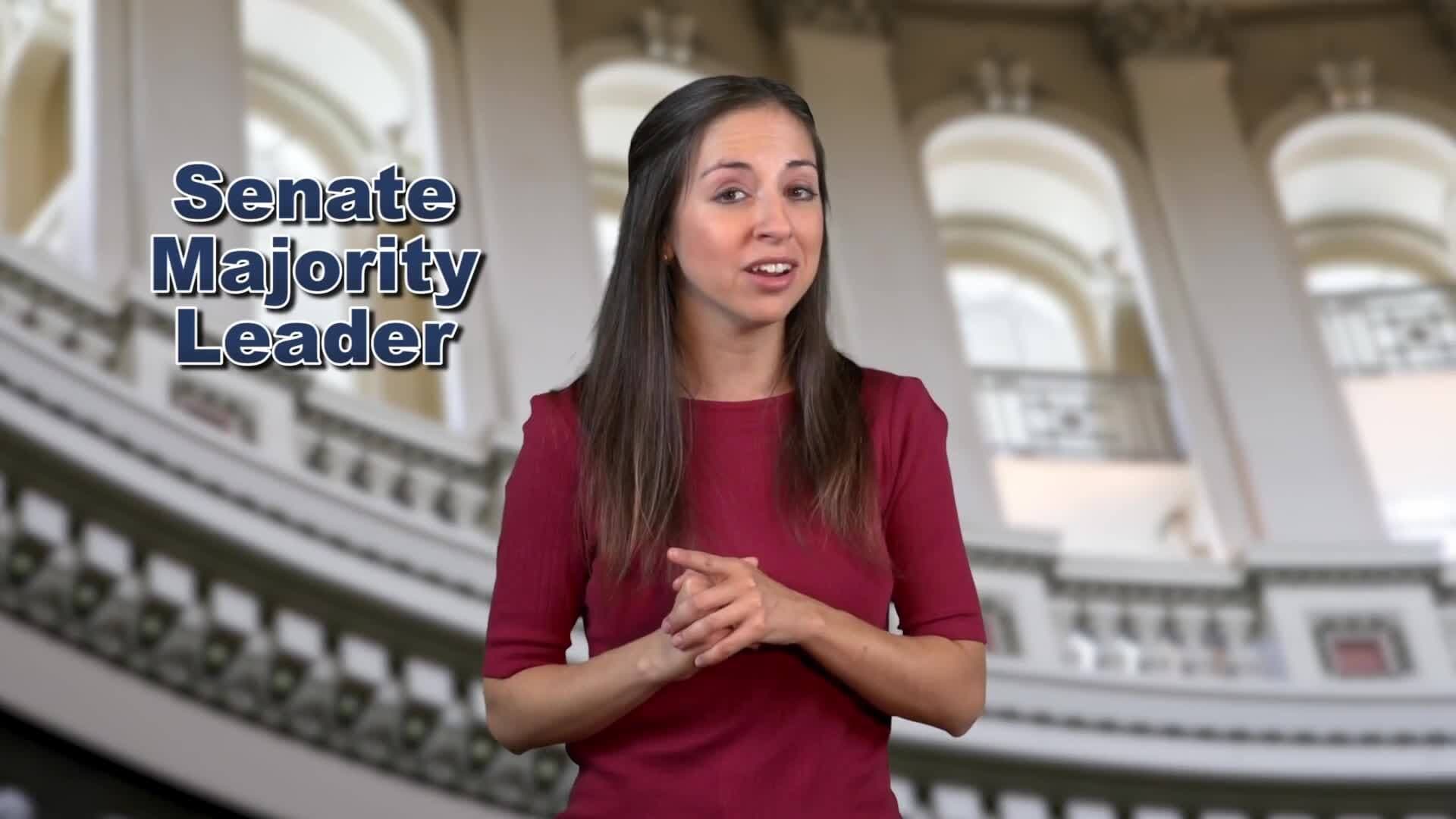 The Structure and Role of the Senate