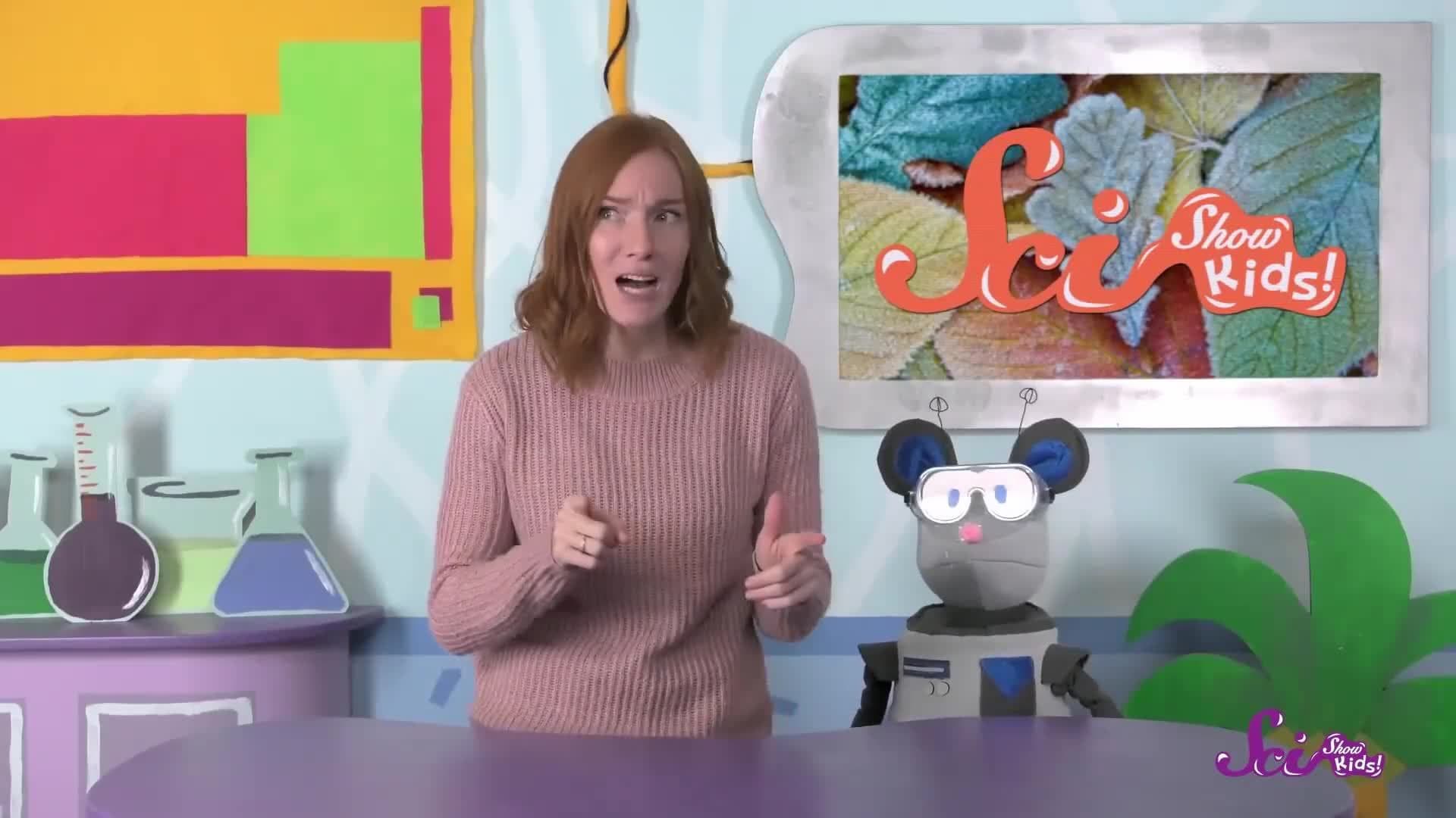 Where Does Frost Come From? | Winter Science | SciShow Kids