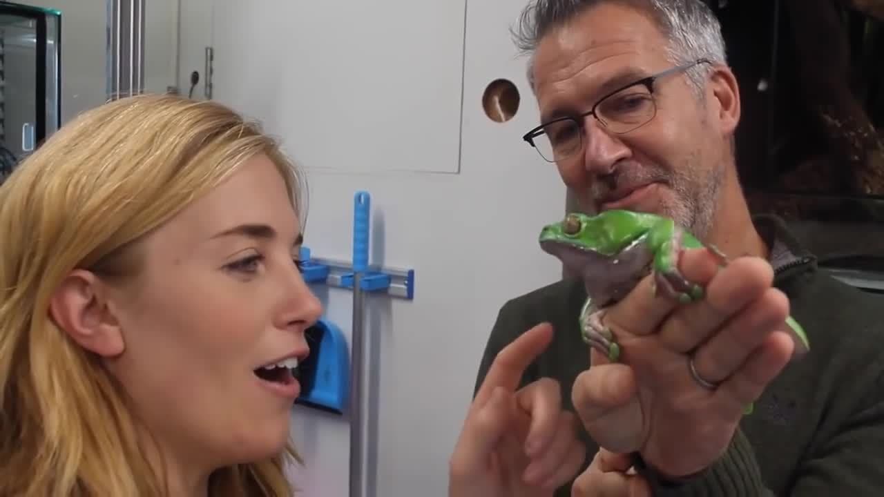 FROG ON MY FACE?! Maddie Meets the Endangered Frogs | Maddie Moate