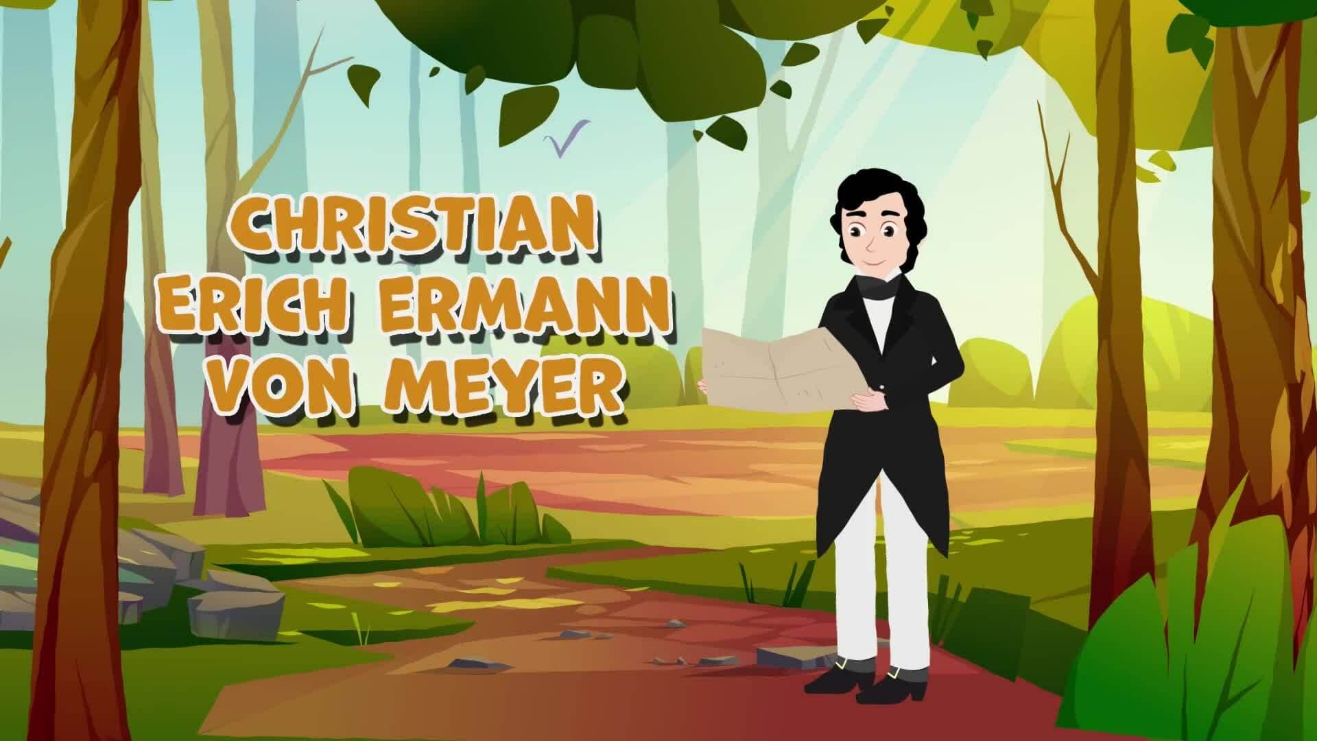 High Five Facts - Archaeopteryx